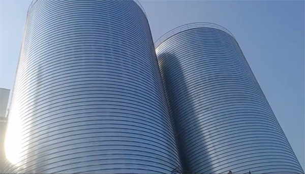 通川2座混凝土高架卷板仓